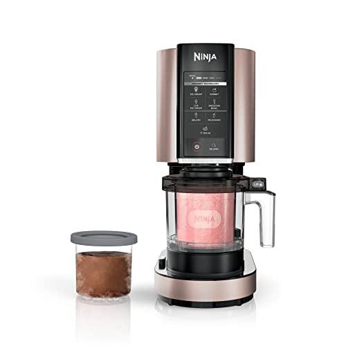 2 in one 2025 ice cream maker
